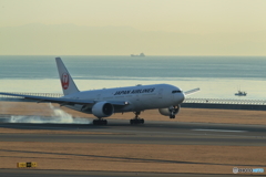 JAL landing