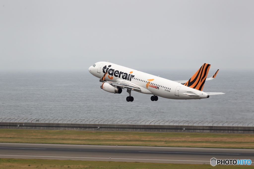 tiger air 台湾