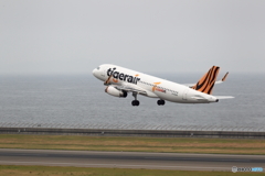 tiger air 台湾