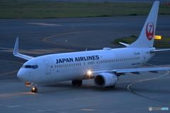 JAPAN　AIRLINES