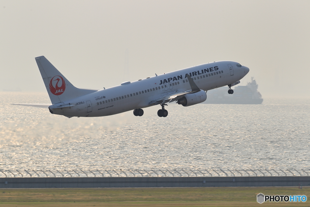 JAL3115便　新千歳空港行き