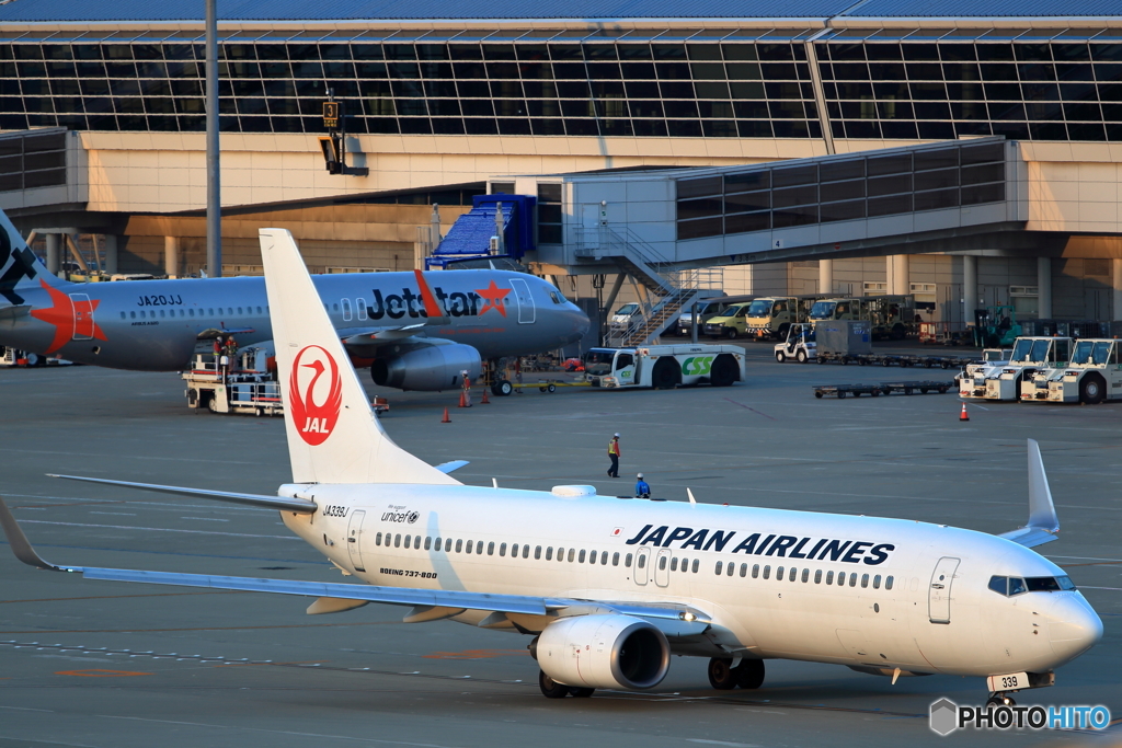 JAPAN AIRLINES