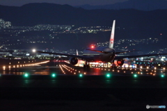 Night itami airport