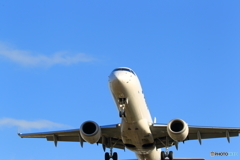 青い空と白い飛行機