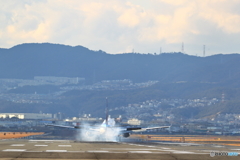 landing itami airport