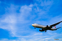 日本航空