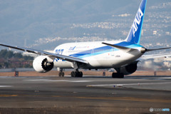 ANA　787機