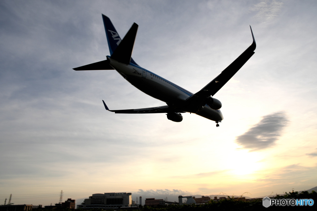 Airplane 