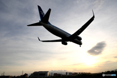 Airplane 