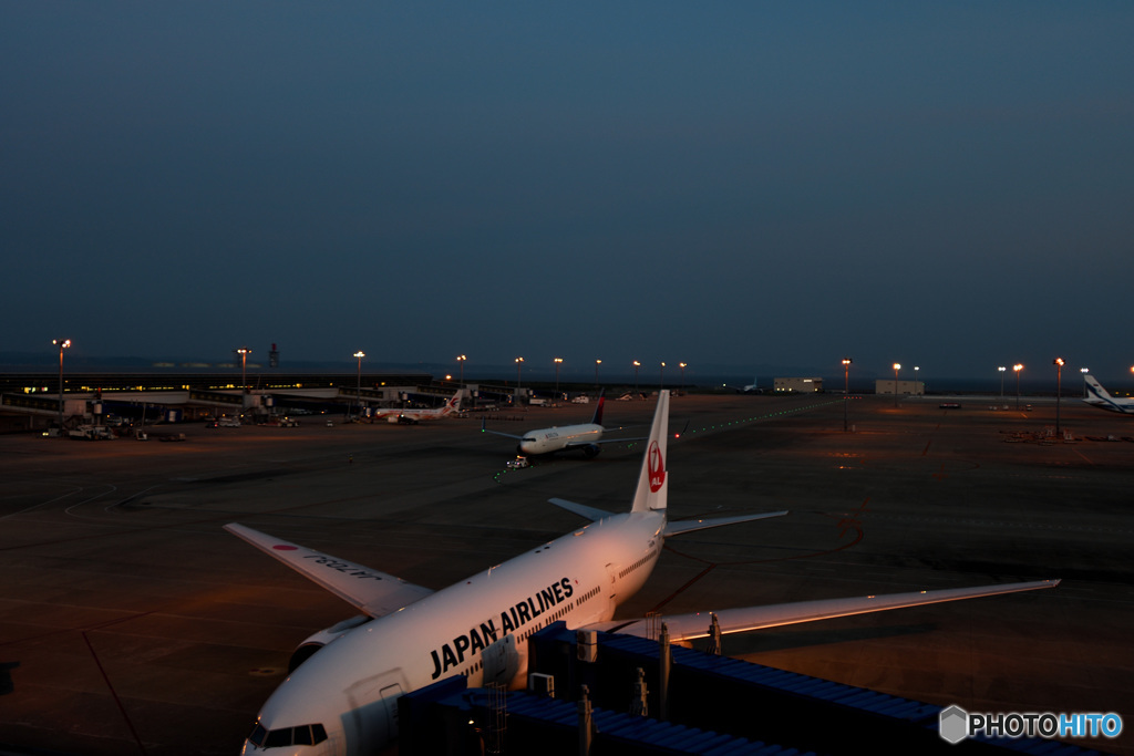 中部国際空港　国際線