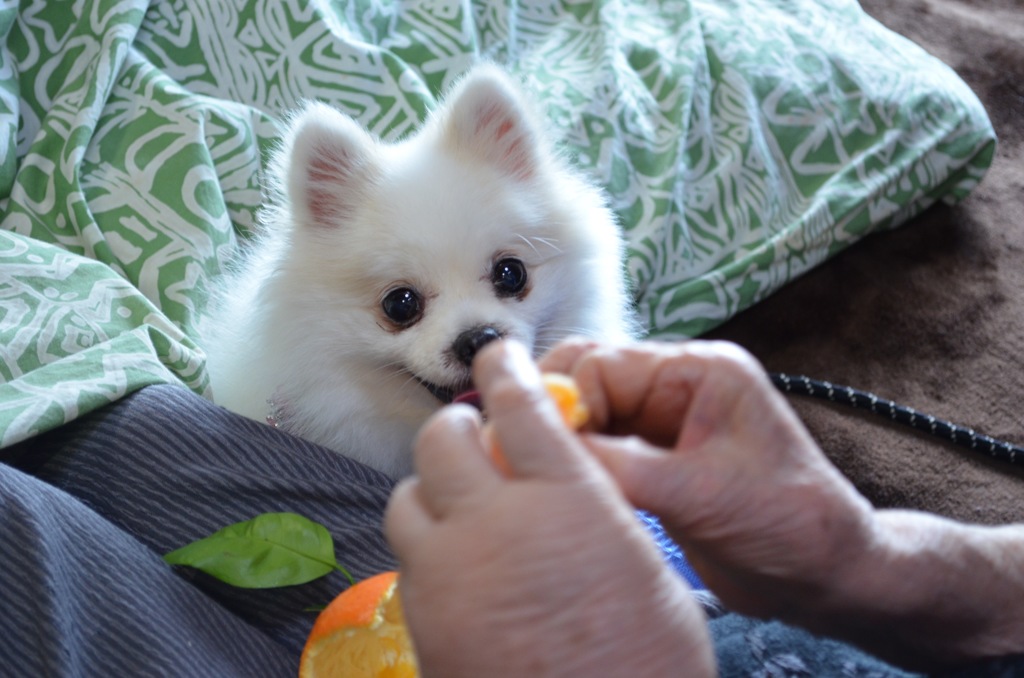 にんまり