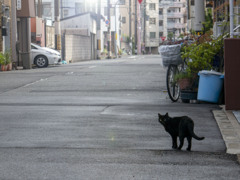 雨上がり