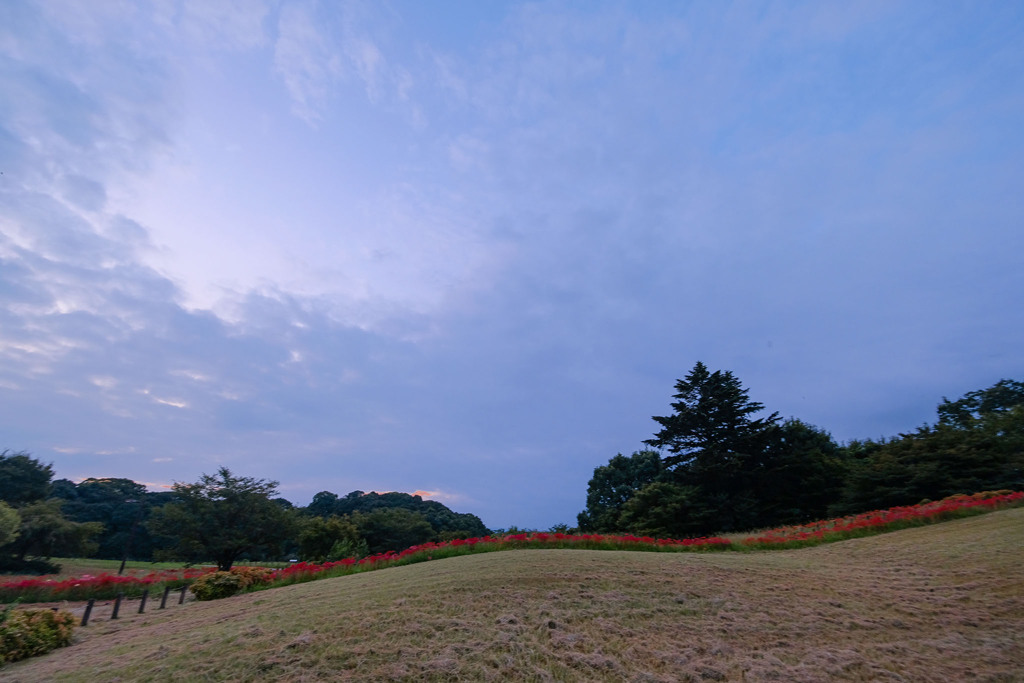 紅の空と地面の区切り線