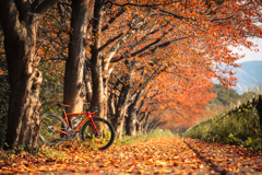 赤い絨毯を踏みしめサイクリング