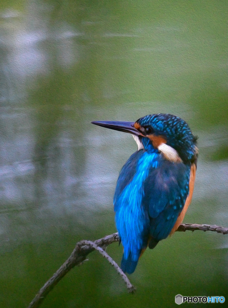 カワセミ油絵風