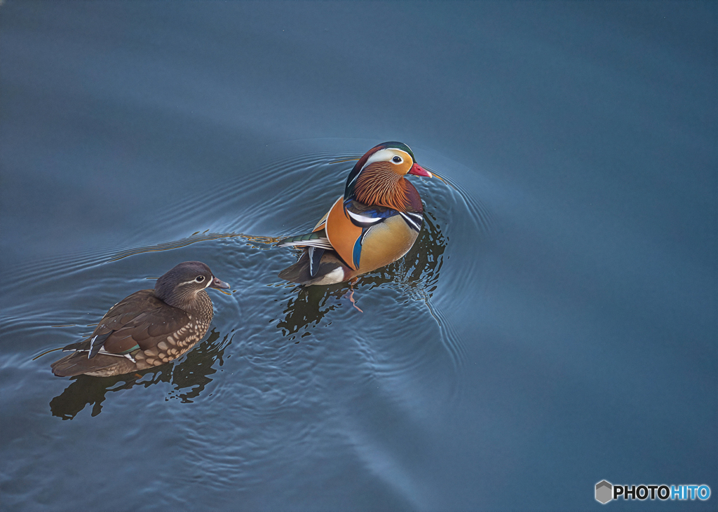 何見てんのよ！