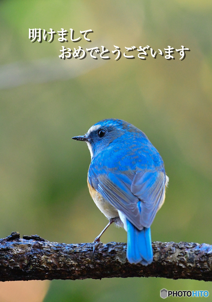 謹賀新年