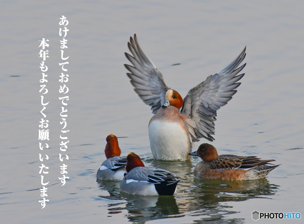 謹賀新年
