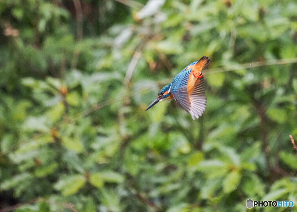 春到来です！