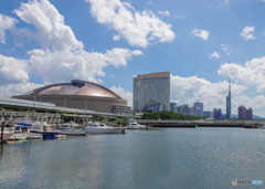 世界水泳FUKUOKA2023