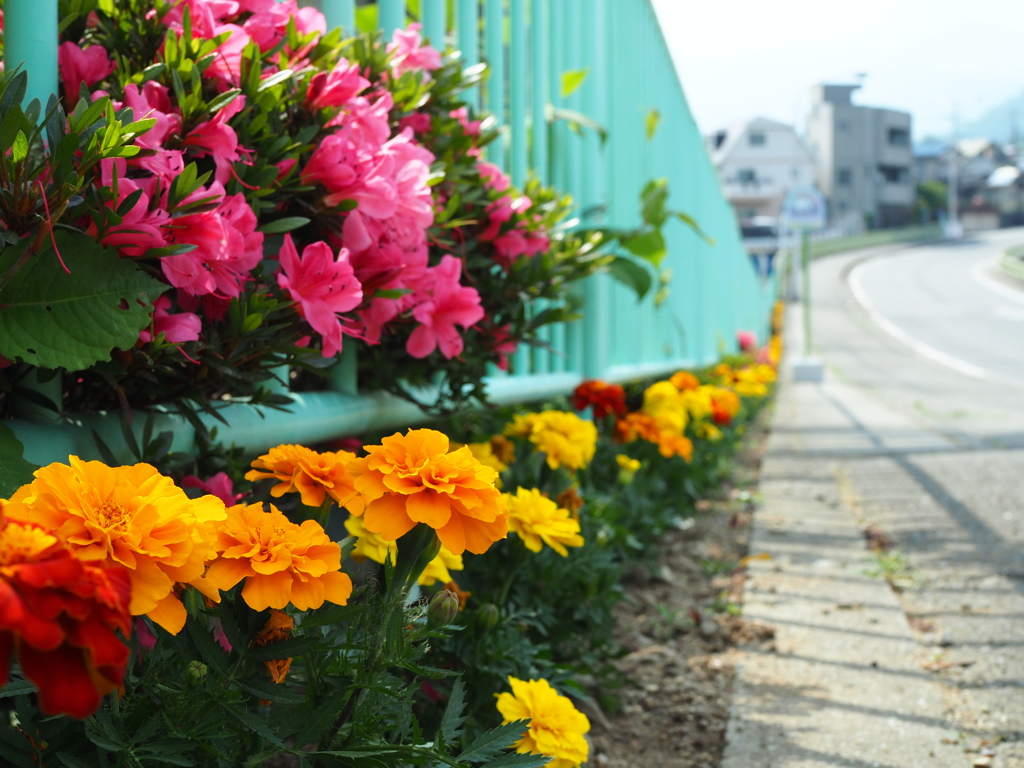 花道