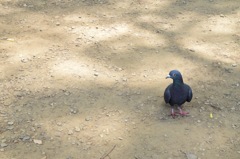 みつめる