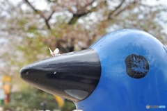 雨がふる前に