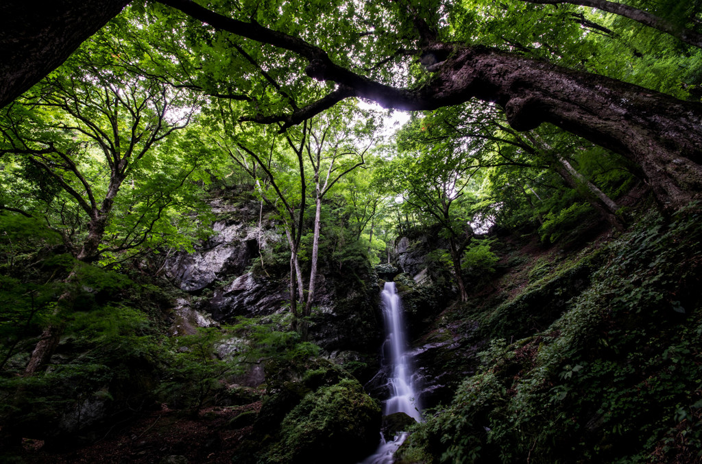 滝-１