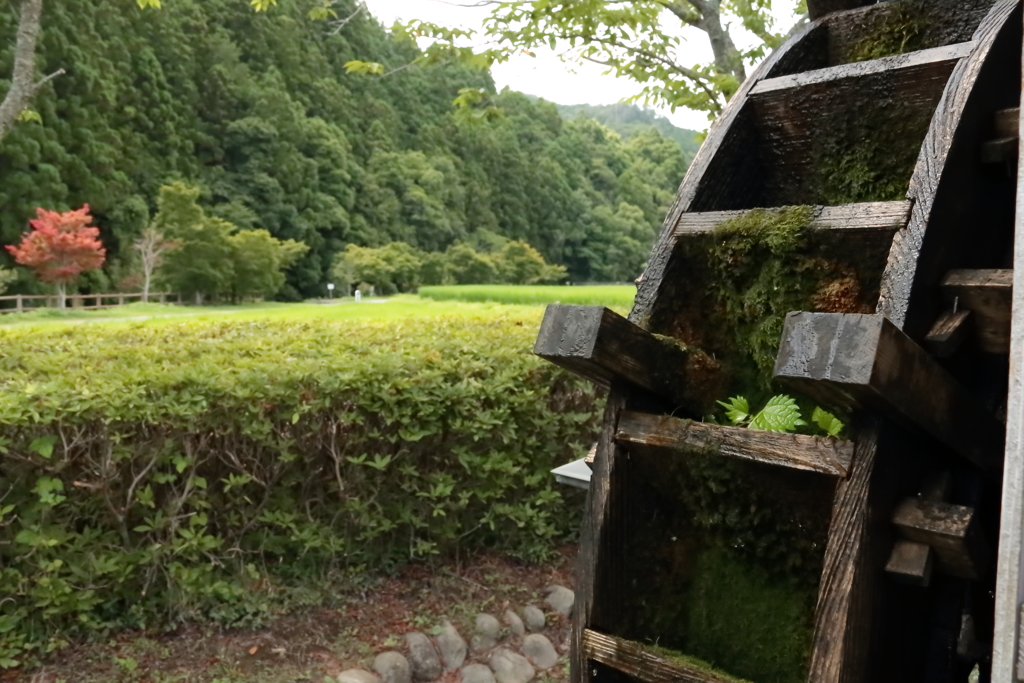 水車に宿る