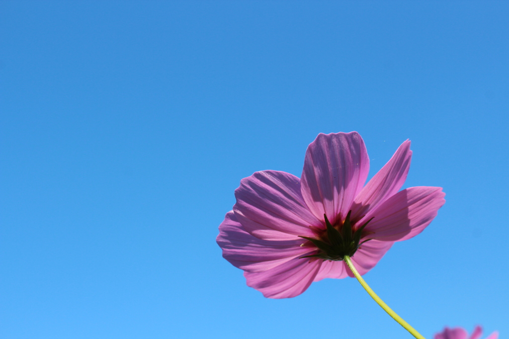 空へ