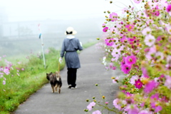 吠えていった犬＾＾