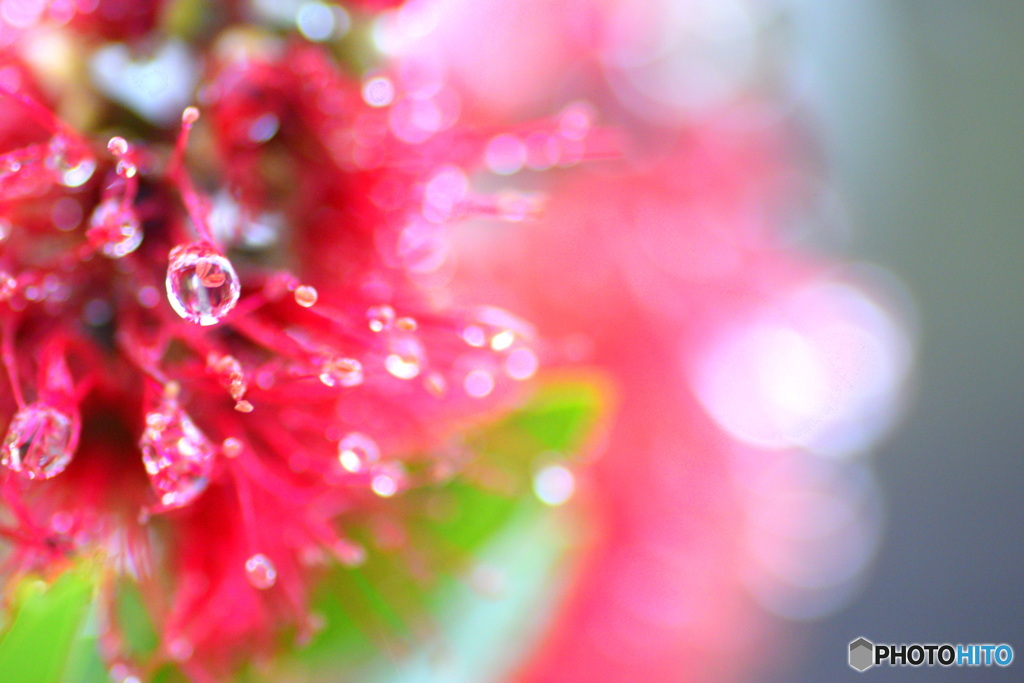 雨の朝