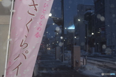 また雪です