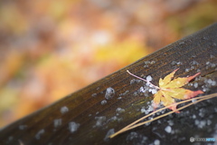 雪の朝