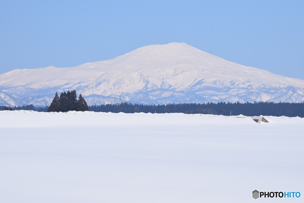 鳥海山と 雪の田んぼ