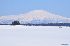 鳥海山と 雪の田んぼ