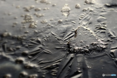 ハート型の薄氷＾＾