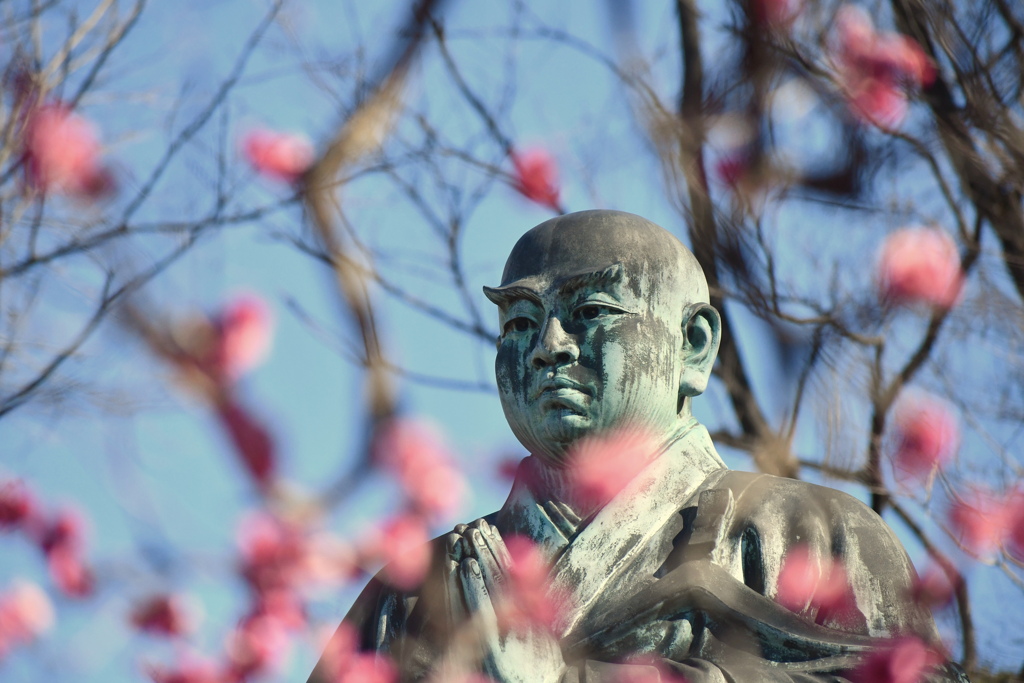 梅と、 お祈り