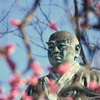 梅と、 お祈り