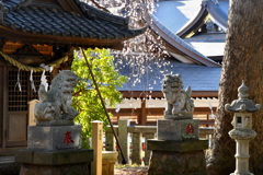 午後の菅原神社