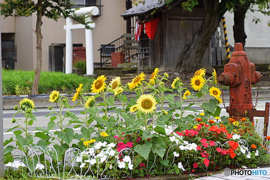 色々なものがある 街の風景