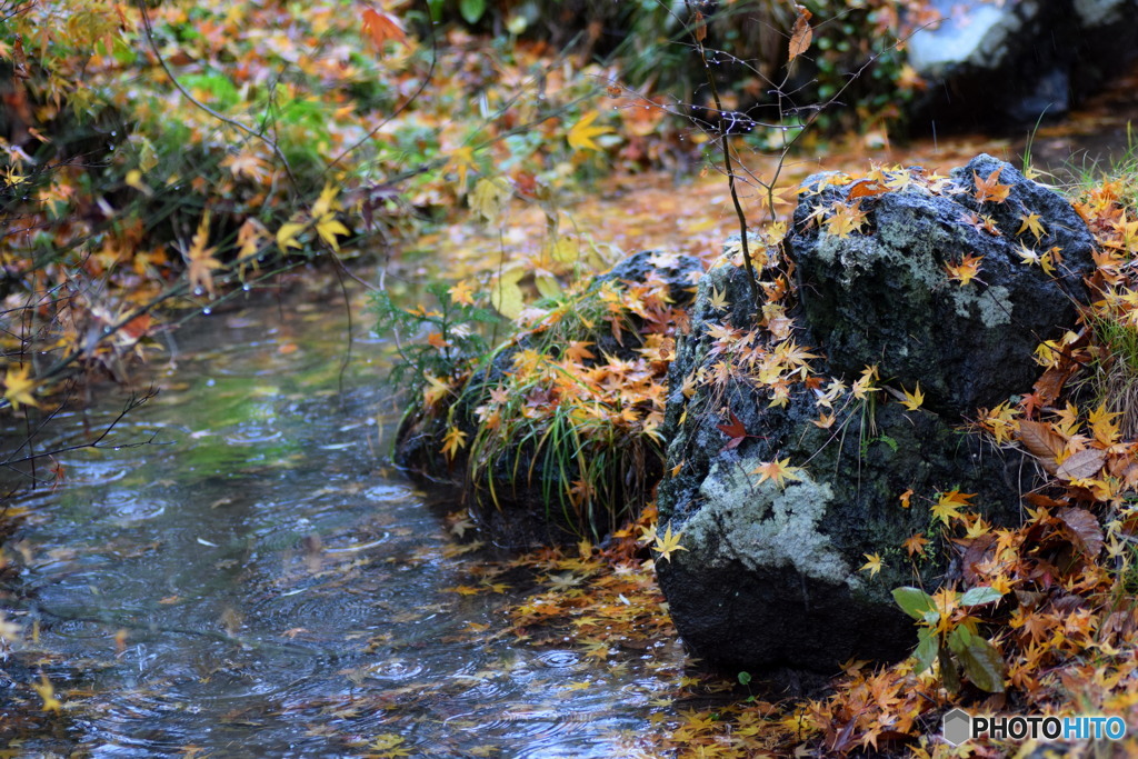 雨の朝が好き