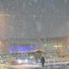 今日の新庄市は雪です。