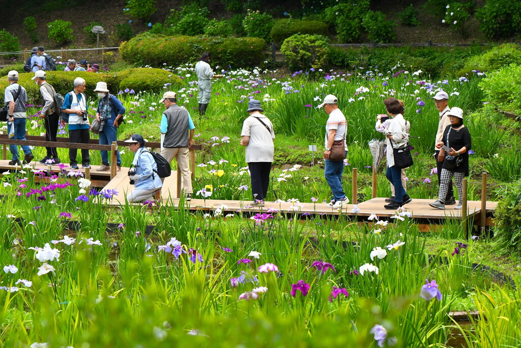 今日の薬師池公園