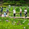 今日の薬師池公園