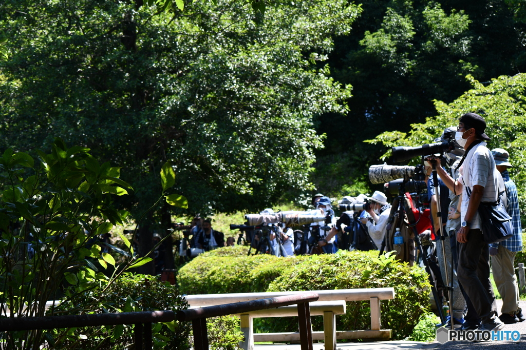 休日の薬師池公園