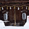 今朝も雪でした