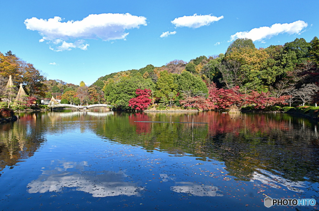 今日の薬師池公園