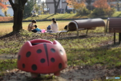 午後の公園