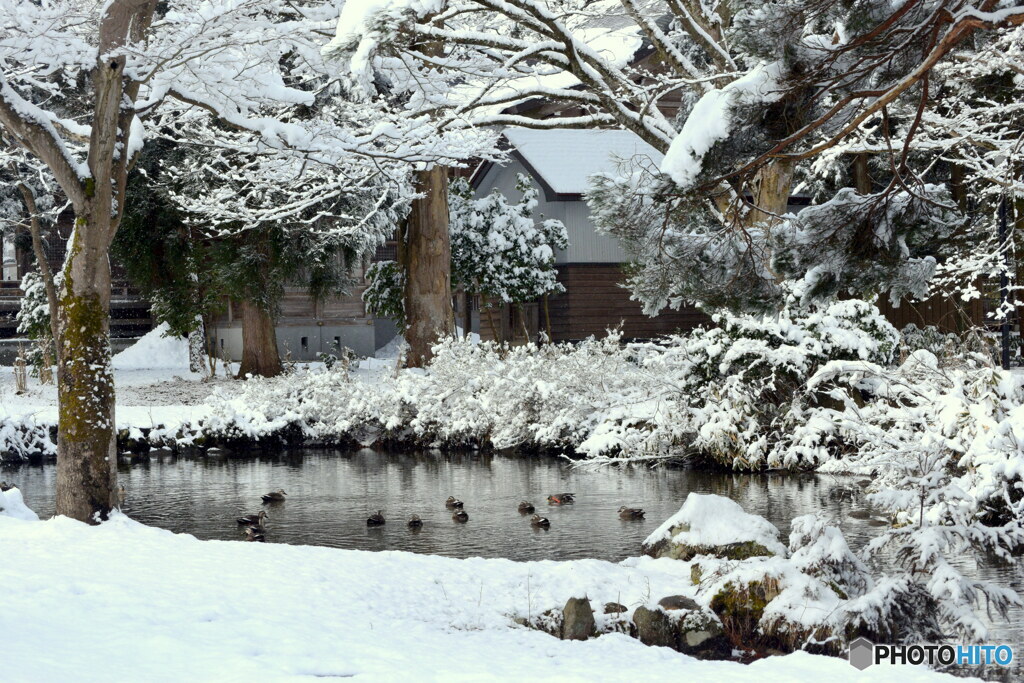 この冬最後の雪景色？